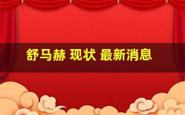 舒马赫 现状 最新消息